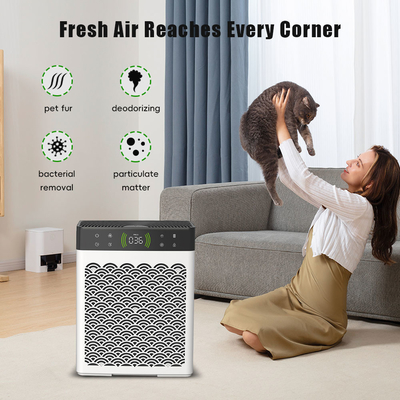 Good price ओईएम इनडोर डिह्यूमिडिफायर और एयर प्यूरीफायर बिल्ली का कूड़ा और कुत्ते के पेशाब डिओडोरराइजर ऑनलाइन